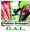 Gal Pollini