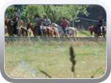 Il_vecchio_fienile_passeggiate_a_cavallo