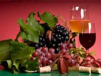 produzione dell'agriturismo